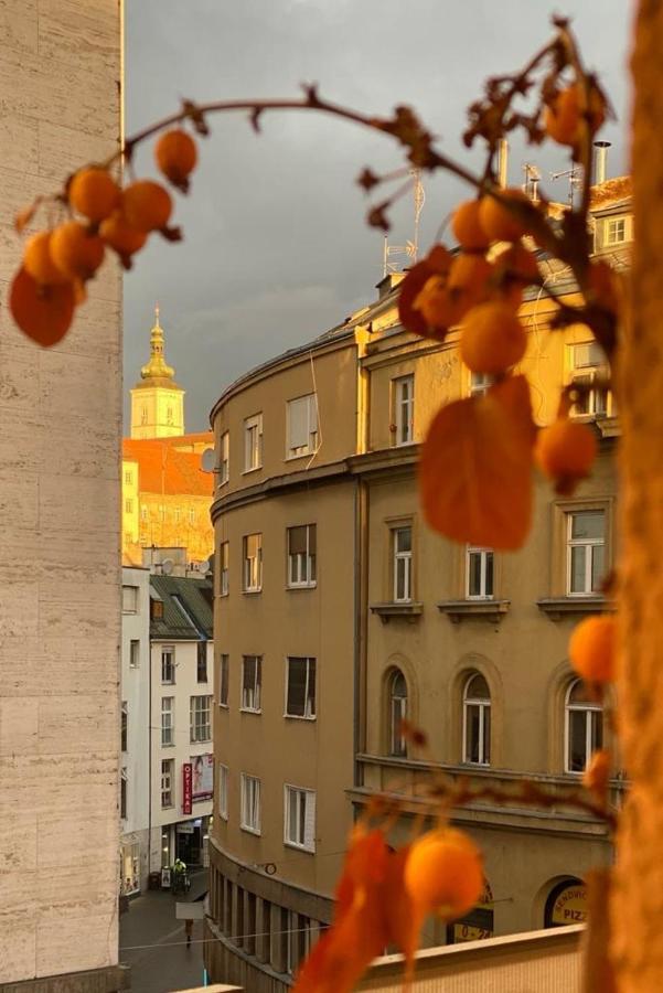 Main Square Dream Apartment Zagreb Eksteriør bilde
